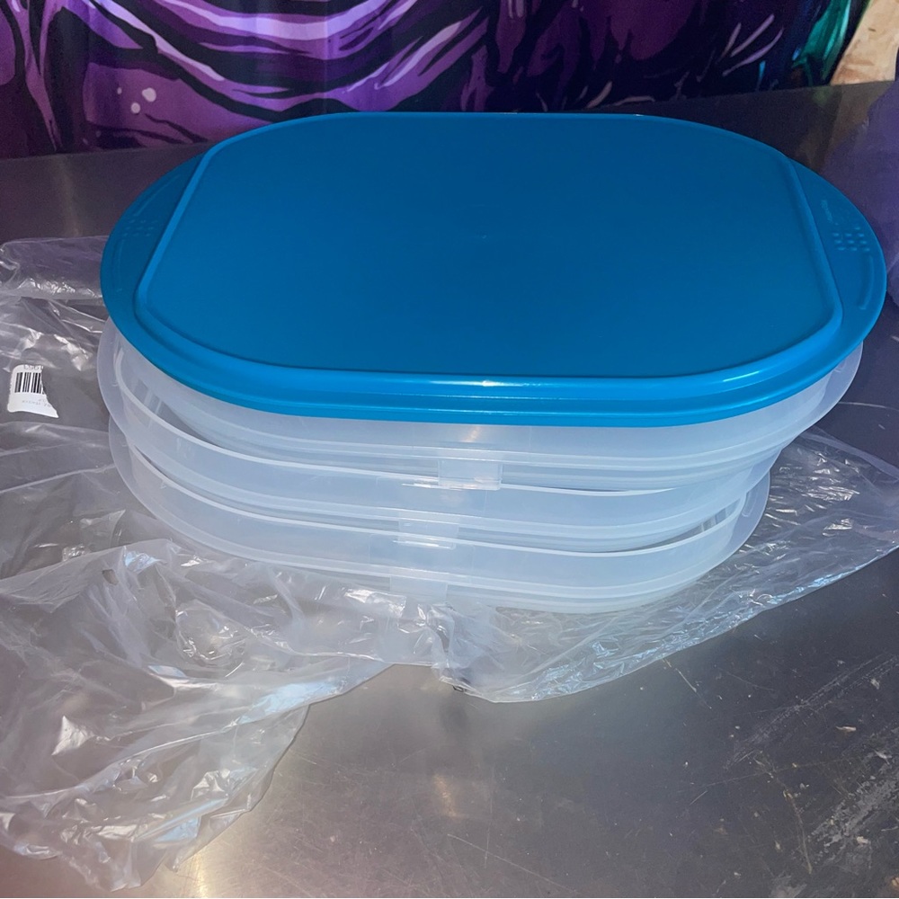 Tupperware Fridgable Stackable Clip